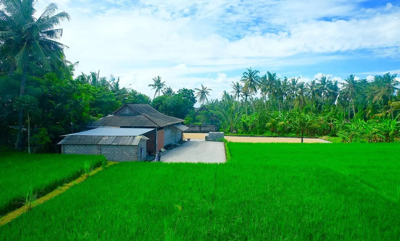 Wiki Bali Hotel Ubud
