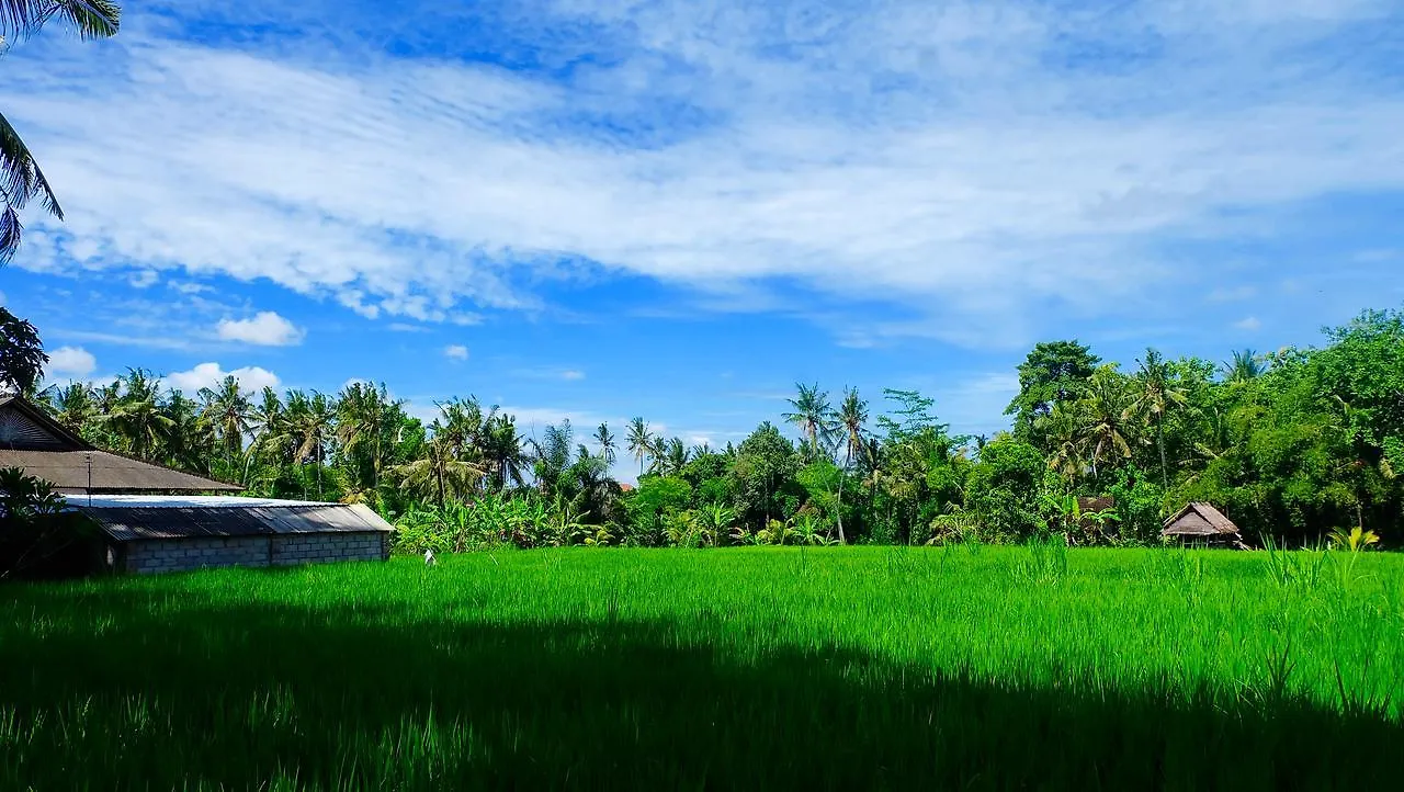 Wiki Bali Hotel Ubud Gasthuis