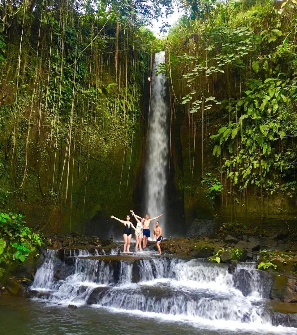 Wiki Bali Hotel Ubud Gasthuis
